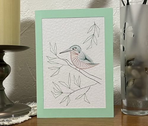 Kingfisher bird on a branch